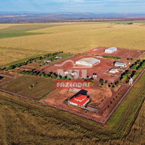 Fazenda 464 Alqueires (2.245 hectares) Doverlândia - GO
