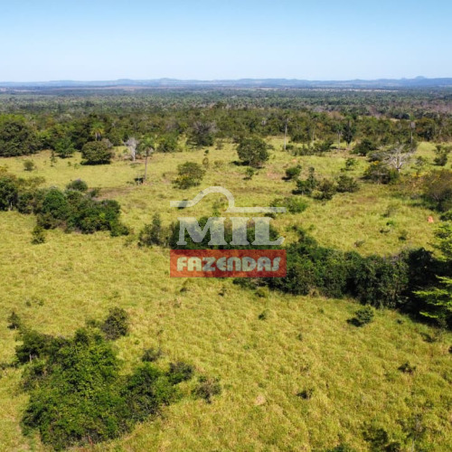 Fazenda 99 Alqueires (479 hectares) Araguaína - TO