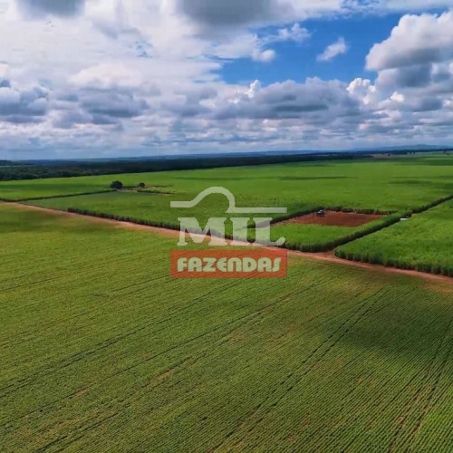 Fazenda 343,93 alqueires ( 1.664,65 hectares ) Montes Claros - GO