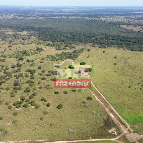 Fazenda 220 alqueires ( 1.064,8 hectares ) Peixe-TO