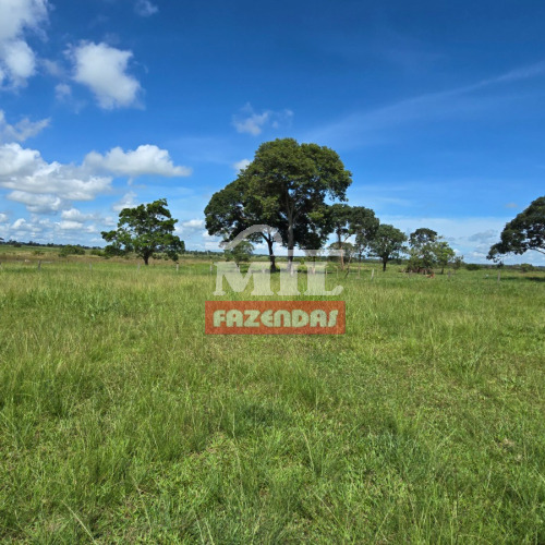 Fazenda 55 Alqueires (266 hectares) Itarumã - GO