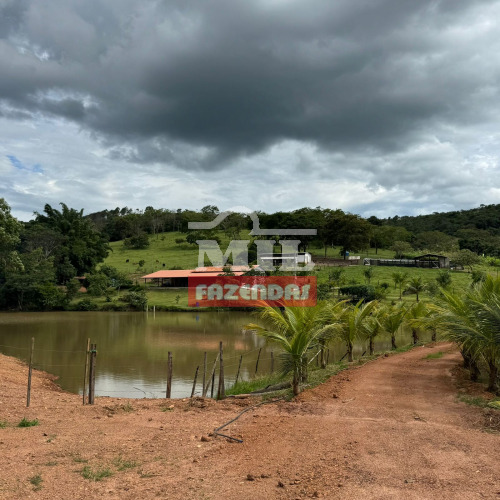 Chácara 5 Alqueires (24,2 hectares) Abadiânia - GO