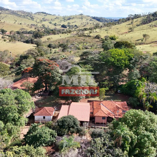 Fazenda 57 Alqueires (275,88 hectares) Inhumas - GO
