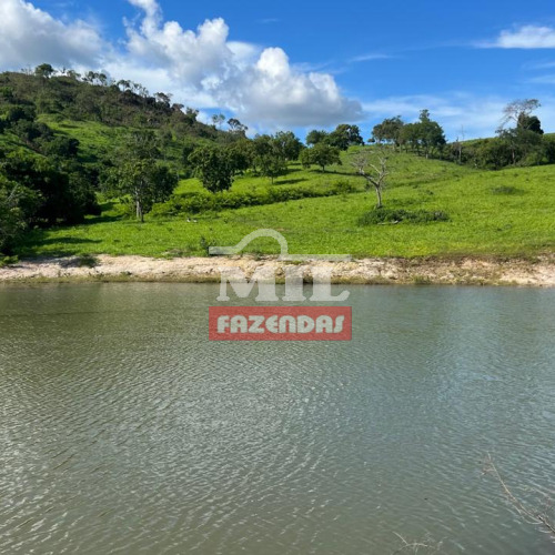 Fazenda  100 alqueires (484 hectares) Montividiu  Do Norte- GO