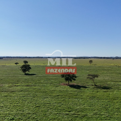 Fazenda 28 Alqueires (135.5 Hectares) Goiania - GO