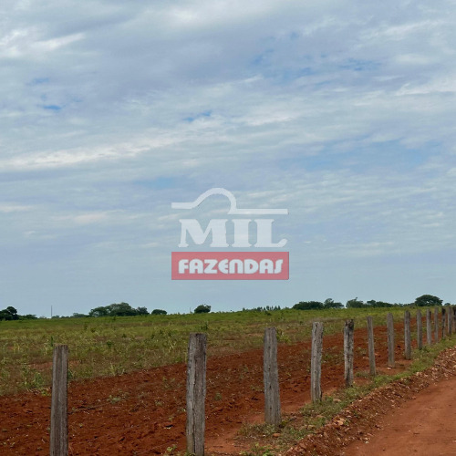 Fazenda 690 alqueires (3.340 hectares) Bonopolis - GO