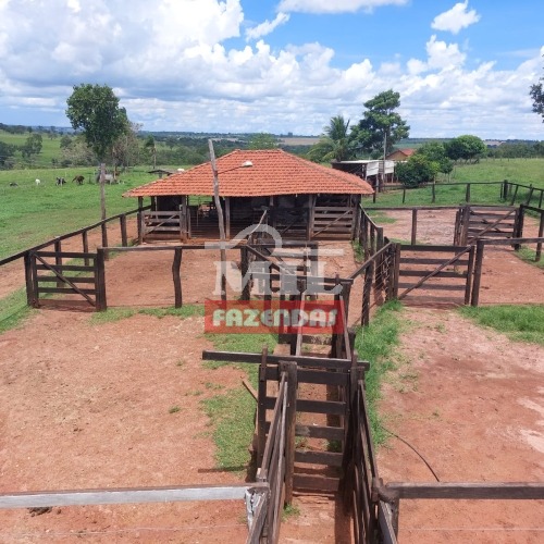 FAZENDA 41,5 ALQUEIRES ( 200.8 Hectares) JATAÍ - GO