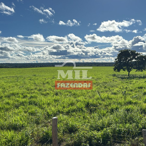 Fazenda 121 Alqueires (586,4 Hectares)  Ribeirão Cascalheira - MT