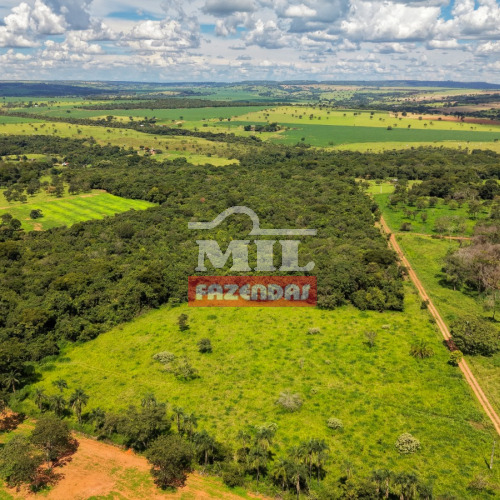 Chácara 5,5 alqueires (26,6 hectares) Bela Vista de Goiás - GO