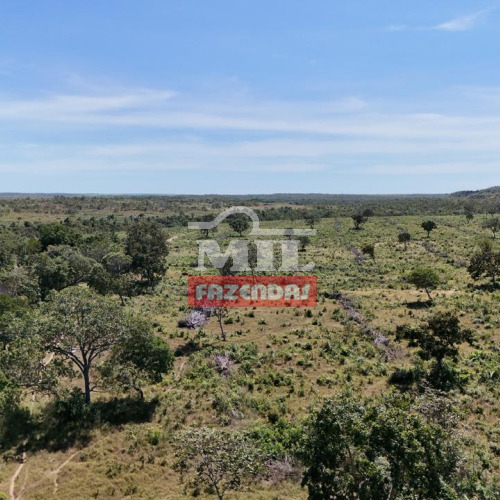 Fazenda 197 alqueires (659,08 hectares) Lagoa do Tocantins - TO