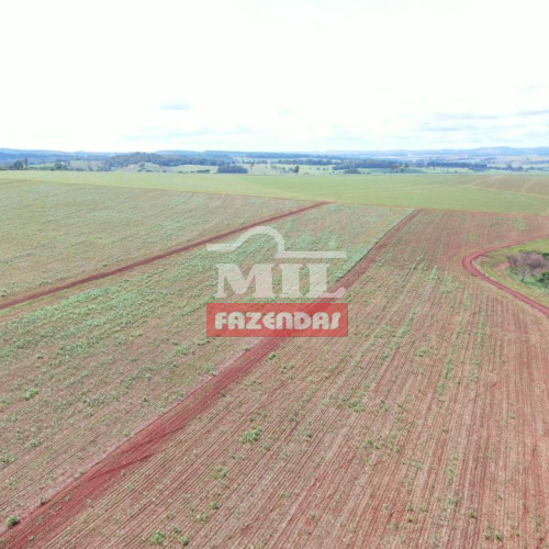 Fazenda 330 Alqueires (1.597 hectares) Itauçu - GO