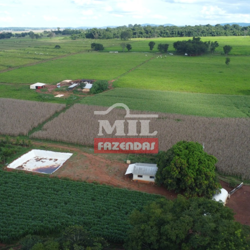 Chacara 8,24 alqueires (39 ha) Taquaral - GO