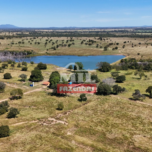 Fazenda 251 Alqueires ( 1.214 hectares ) Peixe - TO