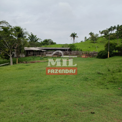 Fazenda 254 Alqueires (1.229 hectares) Xambioá - TO