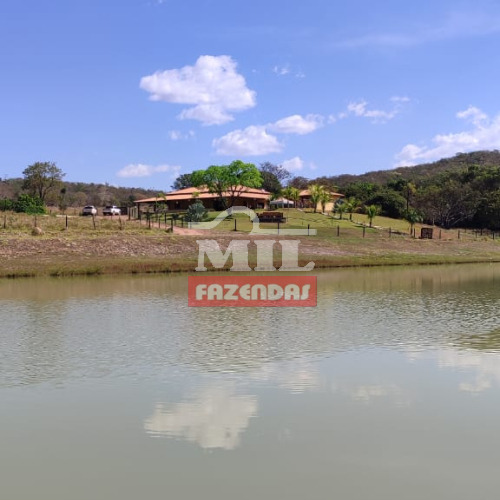 Fazenda 25 Alqueires (121 hectares) Varjão - GO
