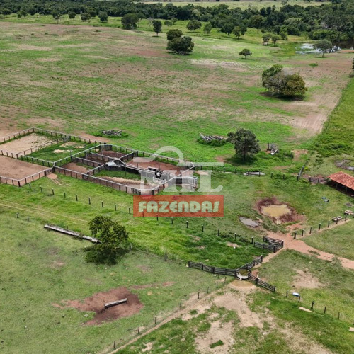 Fazenda 350 alqueires (1.694 hectares) Araguaçu - To