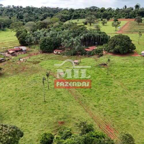Fazenda 38 Alqueires (184 hectares) Santa Rosa de Goiás - GO