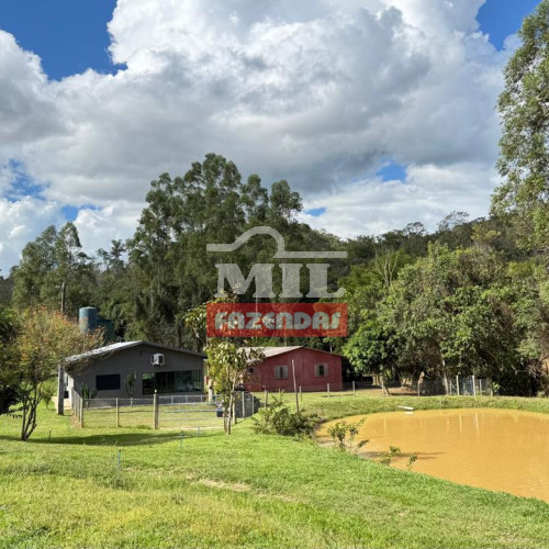 Chácara 7,5 Alqueires (36,3 hectares) São Miguel do Passa Quatro - GO