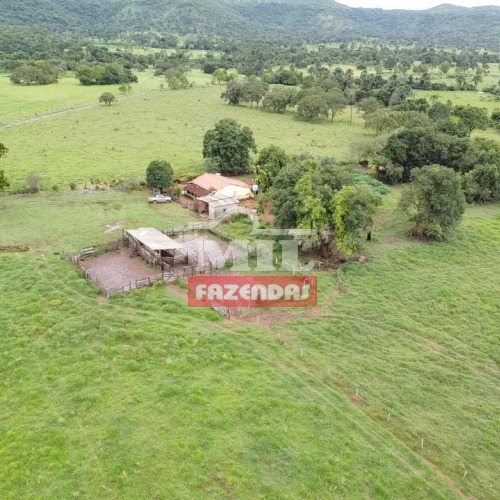 Fazenda 70 alqueires (338 hectares) Paraíso do Tocantins - TO