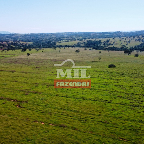 Arrendamento 155 Alqueires (749,7 hectares) Petrolina de Goias - GO