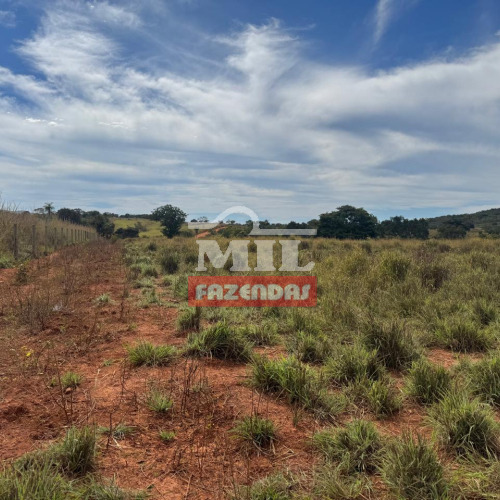 Fazenda 85 Alqueires (411,4 Hectares) Barro Alto - GO