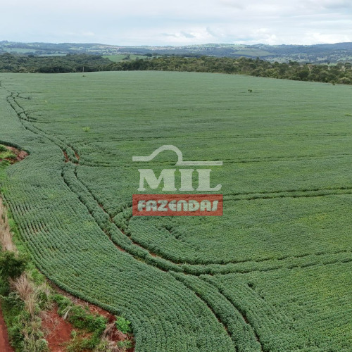 Chácara 6 alqueires (29 hectares) Goiânia - Go