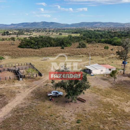 Fazenda 40 Alqueires (194 Hectares) Araguapaz - Go