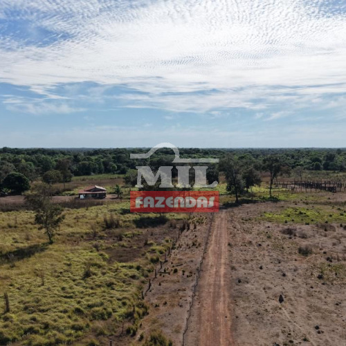 Fazenda 180 Alqueires (871 hectares) São Miguel do Araguaia - GO