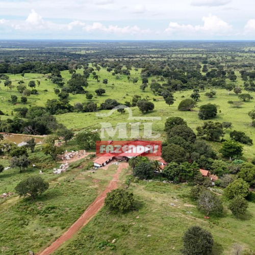 Fazenda 396 alqueires (1.916 hectares) Sandolândia - TO