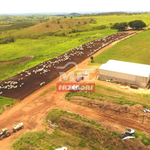 Fazenda 430 Alqueires (2.081 hectares) Ipameri - GO