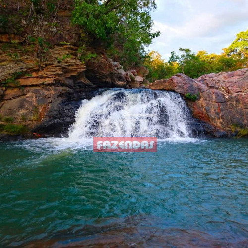 Fazenda 116 alqueires (561,4 hectares) Minaçu - GO
