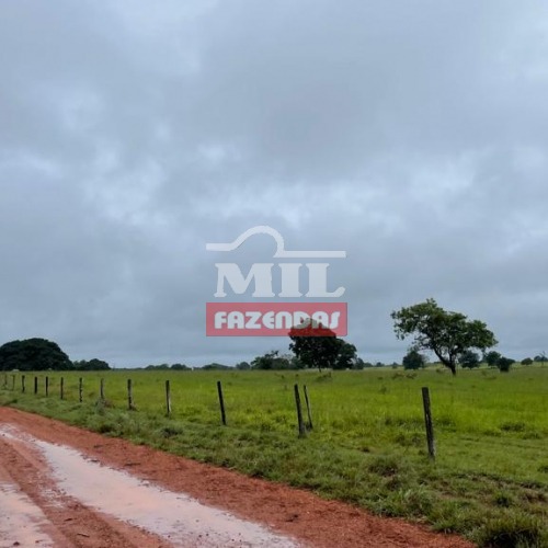 Fazenda de 785 alqueires (3800 hectares) em Cocalinho Mato Grosso