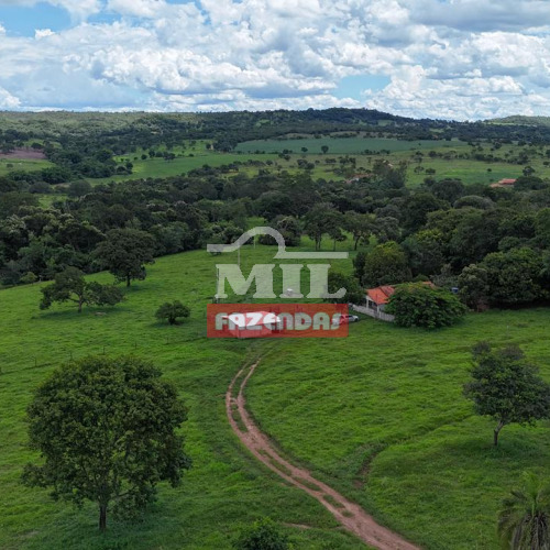 Chácara 4 alqueires(19,36 hectares) Cromínia - Go