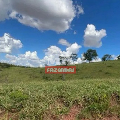 Fazenda 36 Alqueires (174,24 Hectares) Catalao - GO