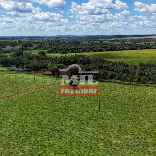 Chácara 1 alqueire e 16 litros (5,61 hectares) Bela Vista de Goiás - Go