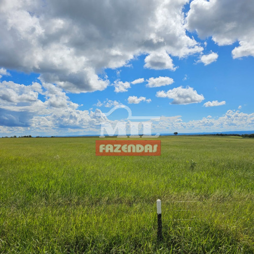 Fazenda 542 Alqueires ( 2.624 Hectares) Baliza - GO