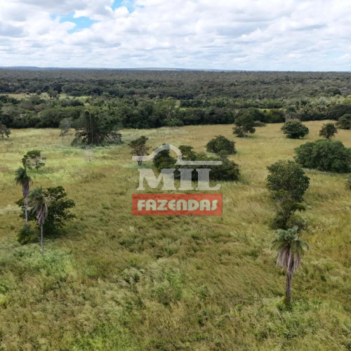 Fazenda 76 alqueires (370 hectares) São Francisco - MG
