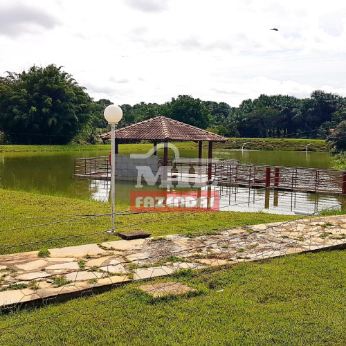 Fazenda 36,5 Alqueires (176,6 Hectares) Varjão - GO