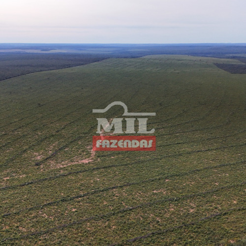 Fazenda 551 Alqueires (2.667 hectares) Boa Esperança do Norte - MT