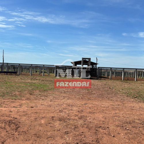 Fazenda 190 alqueires (919 hectares) Mineiros - GO