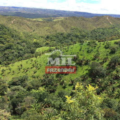 Fazenda 40 Alqueires (193 hectares) Padre Bernardo - GO