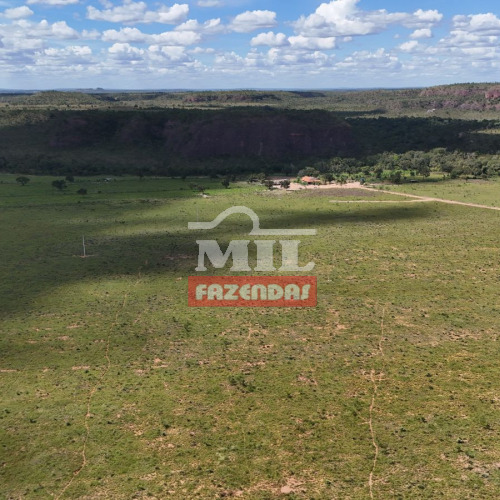 Fazenda 283 alqueires (1.369 hectares) Ponte Alta - To