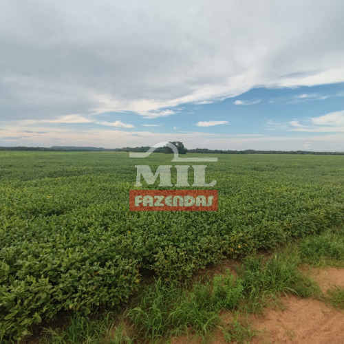 Fazenda 345 Alqueires (1.670 Hectares) Barra do Ouro - TO