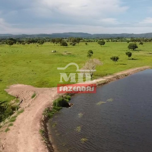 Fazenda 224 alqueires ( 1.084 hectares ) - Matrinchã - GO