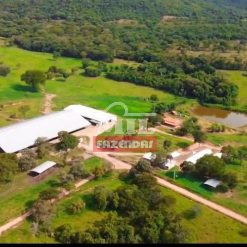Fazenda 30 alqueires (145,2 hectares) Cromìnia - GO