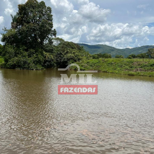 Fazenda 565 alqueires (2.735 hectares) Monte alegre - GO