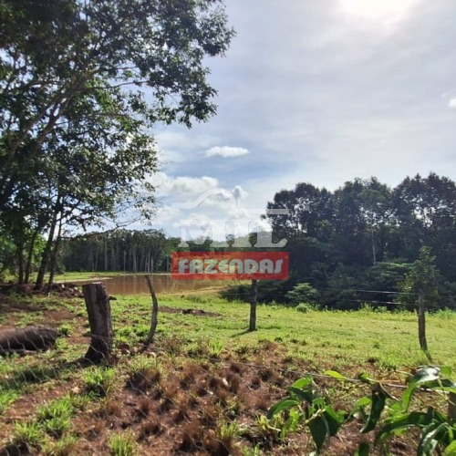 Fazenda 47,3 alqueires ( 228,93 hectares ) Pugmil - Tocantins