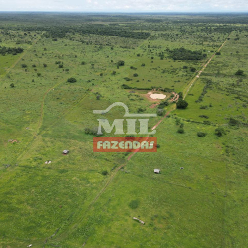 Fazenda 1000 Alqueires (4.840 hectares) Formosa - GO