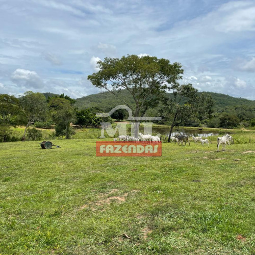 Fazenda 56 Alqueires (271 hectares) Santa Cruz de Goiás - GO