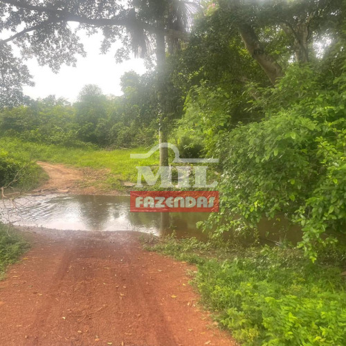 Fazenda 264 alqueires (1.279 hectares) Porto Nacional - To